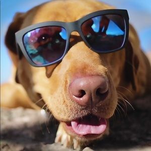 Meet your Posher, Lexie